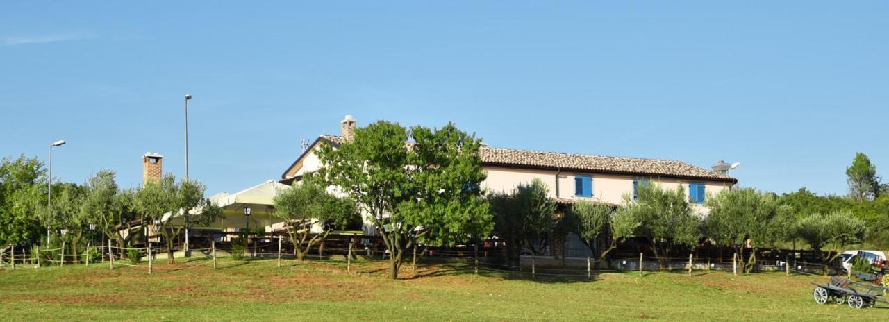 Bed&Breakfast Monte Rosso Poreč Exteriör bild